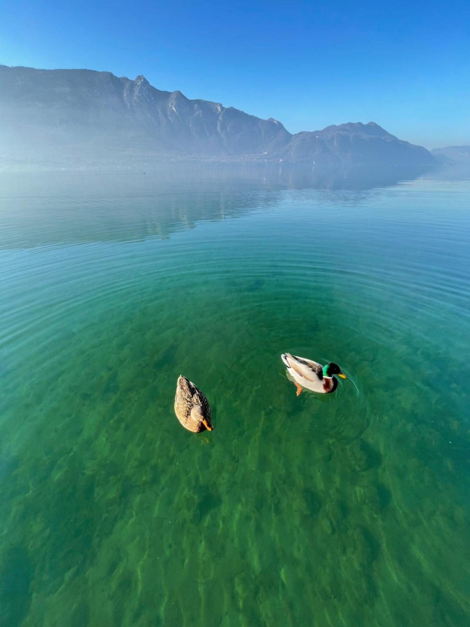 “L'Escapade”, Entre Lac Et Montagne Saint-Alban  Екстер'єр фото
